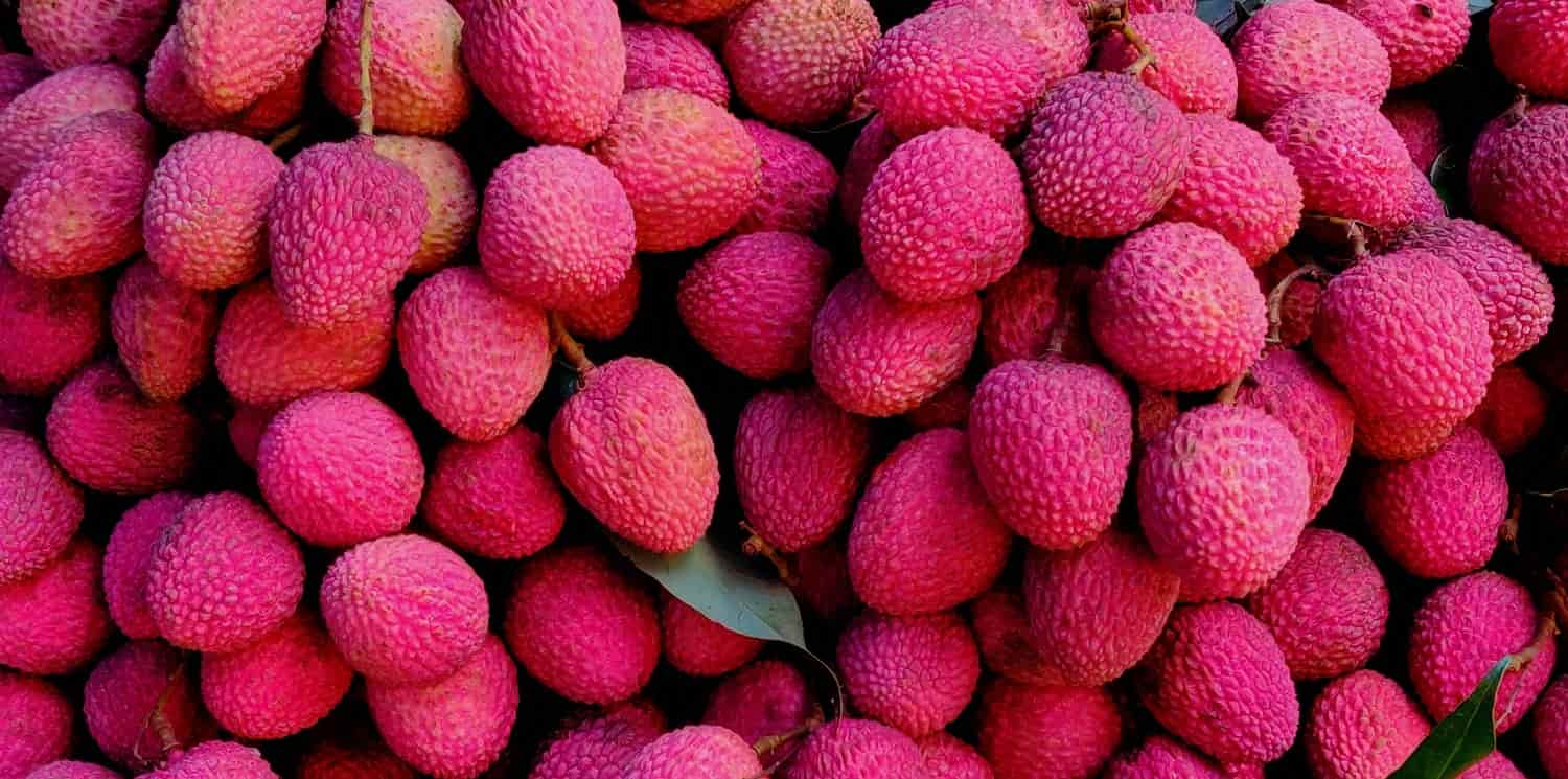 Lots of lychees