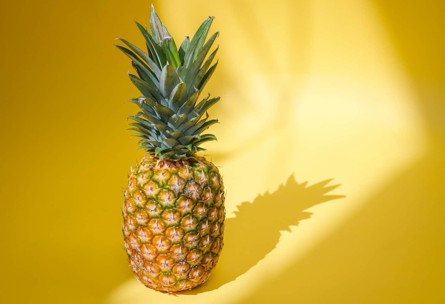Single pineapple with yellow background