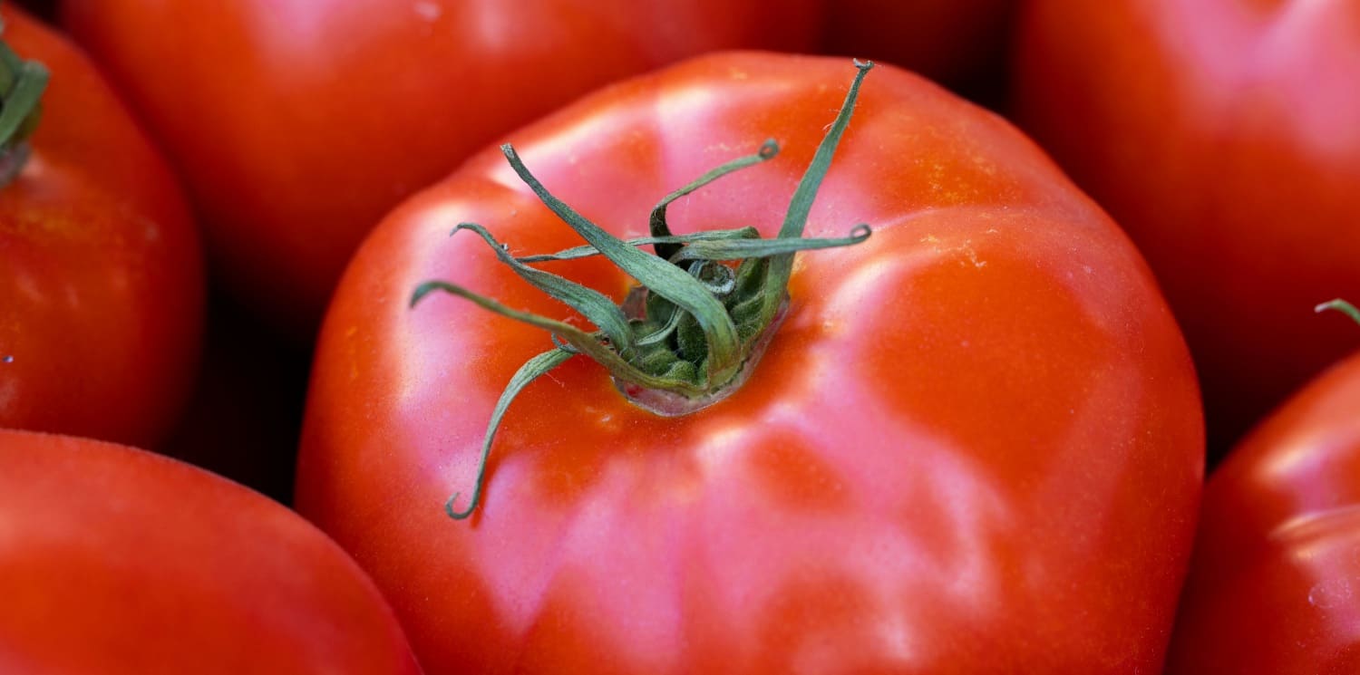 Tomato benefits