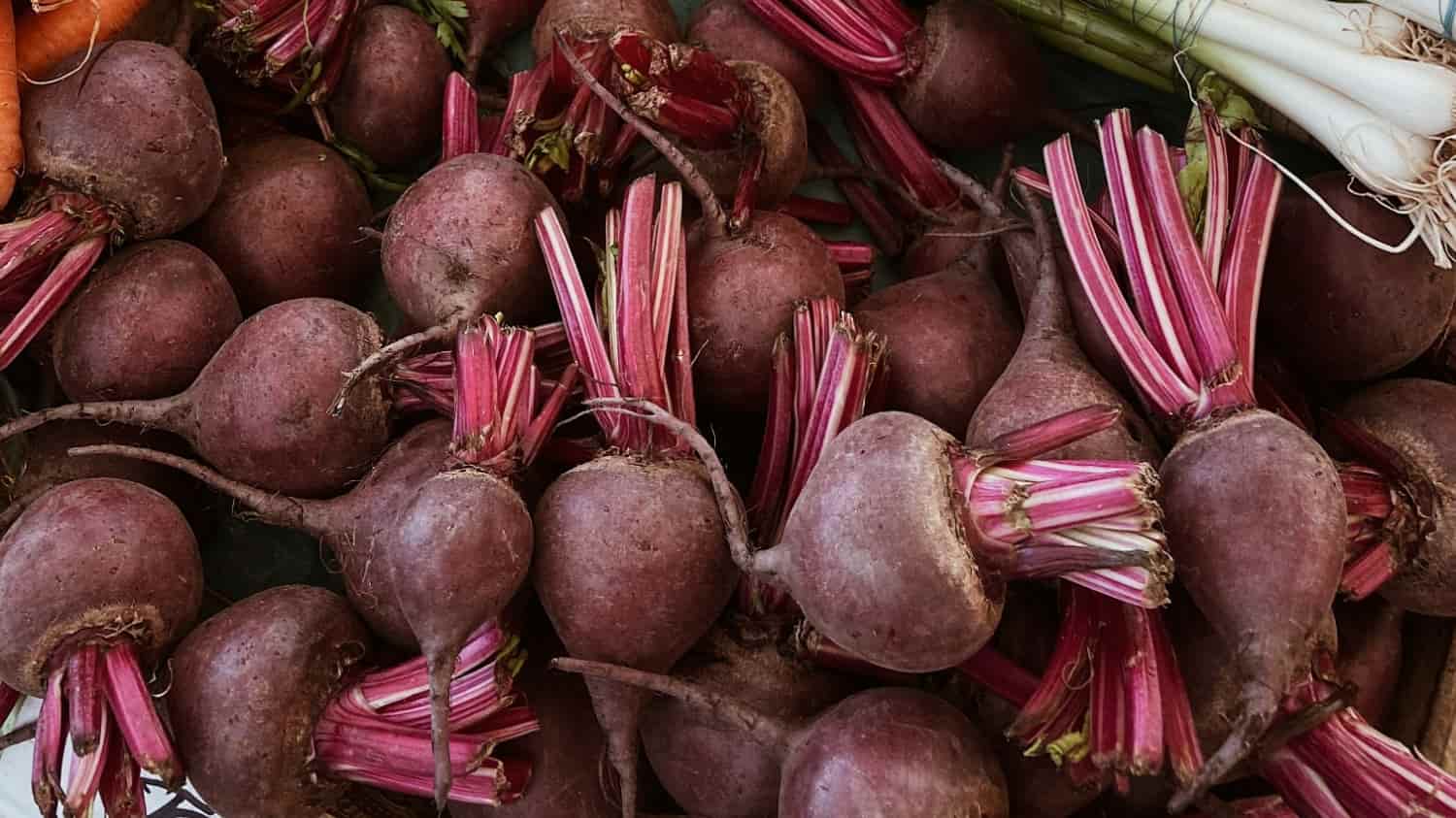 Many beetroots together