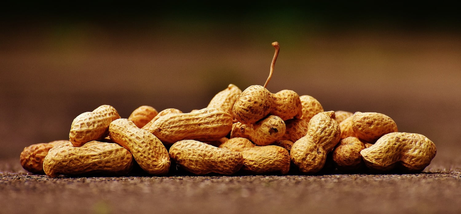 Peanuts are placed on the table