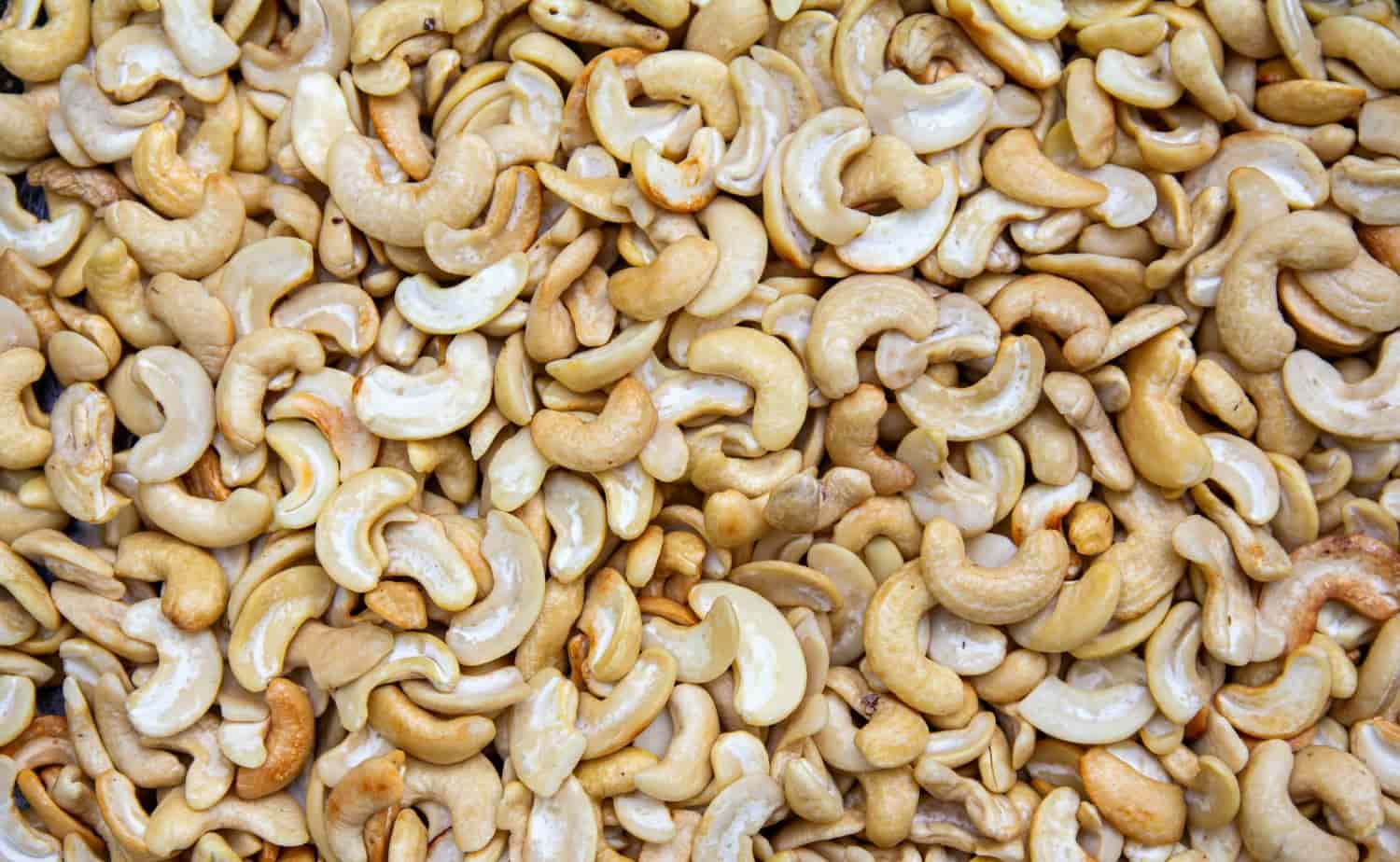 Health benefit of cashew